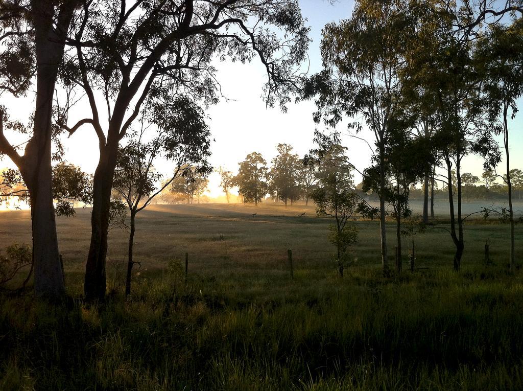 Susan River Homestead Hervey Bay Buitenkant foto